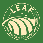 LM-logo-for-website