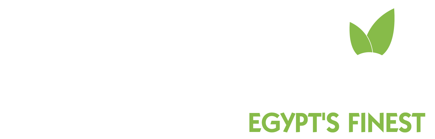 Fresh Box